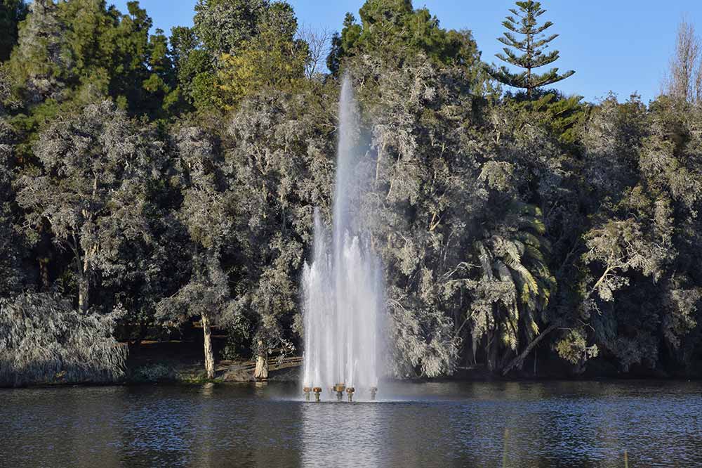 Fountain A photograph from John Oldham Park, Perth, Australia