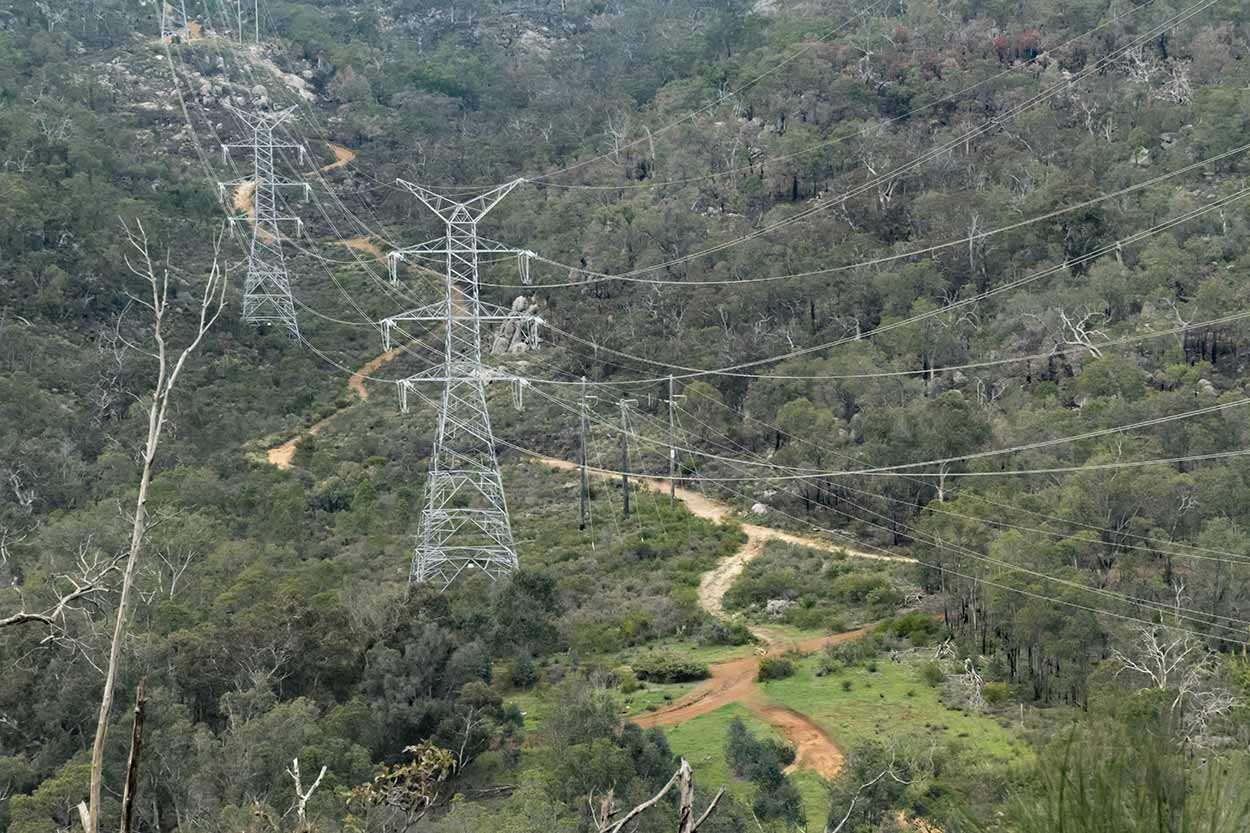 Powerlines over Beelu National Park, Perth, Western Australia