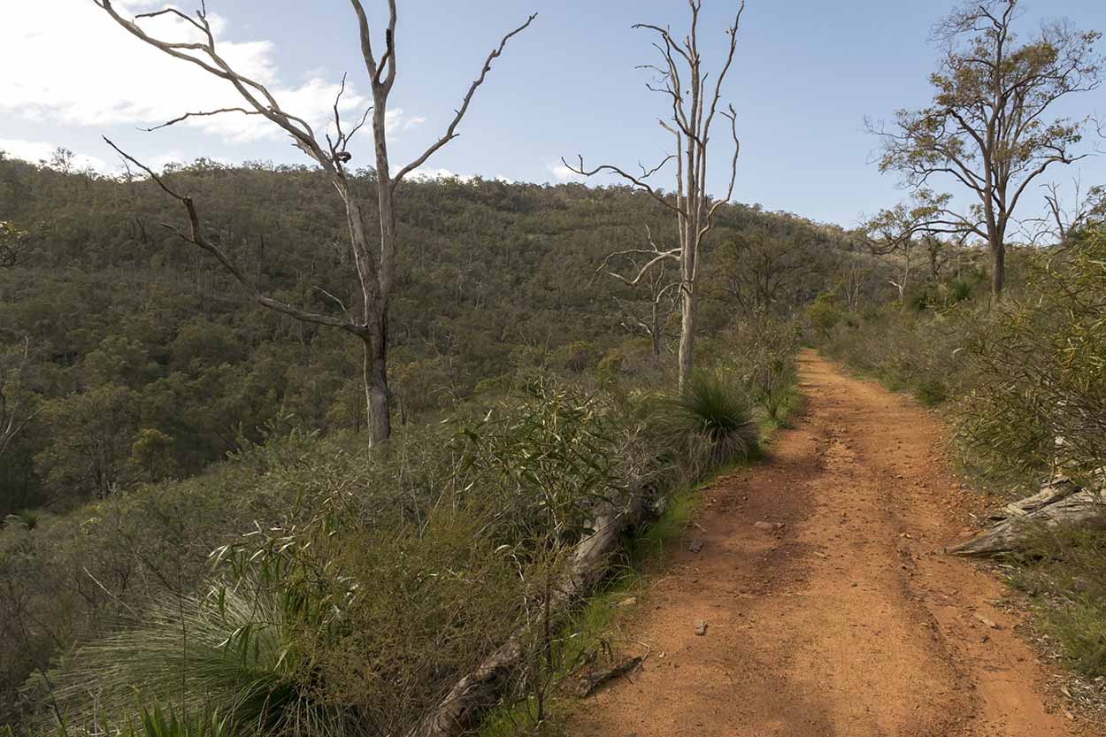 Bushland views from the Helena Pipehead Walk, Beelu National Park, Perth, Western Australia