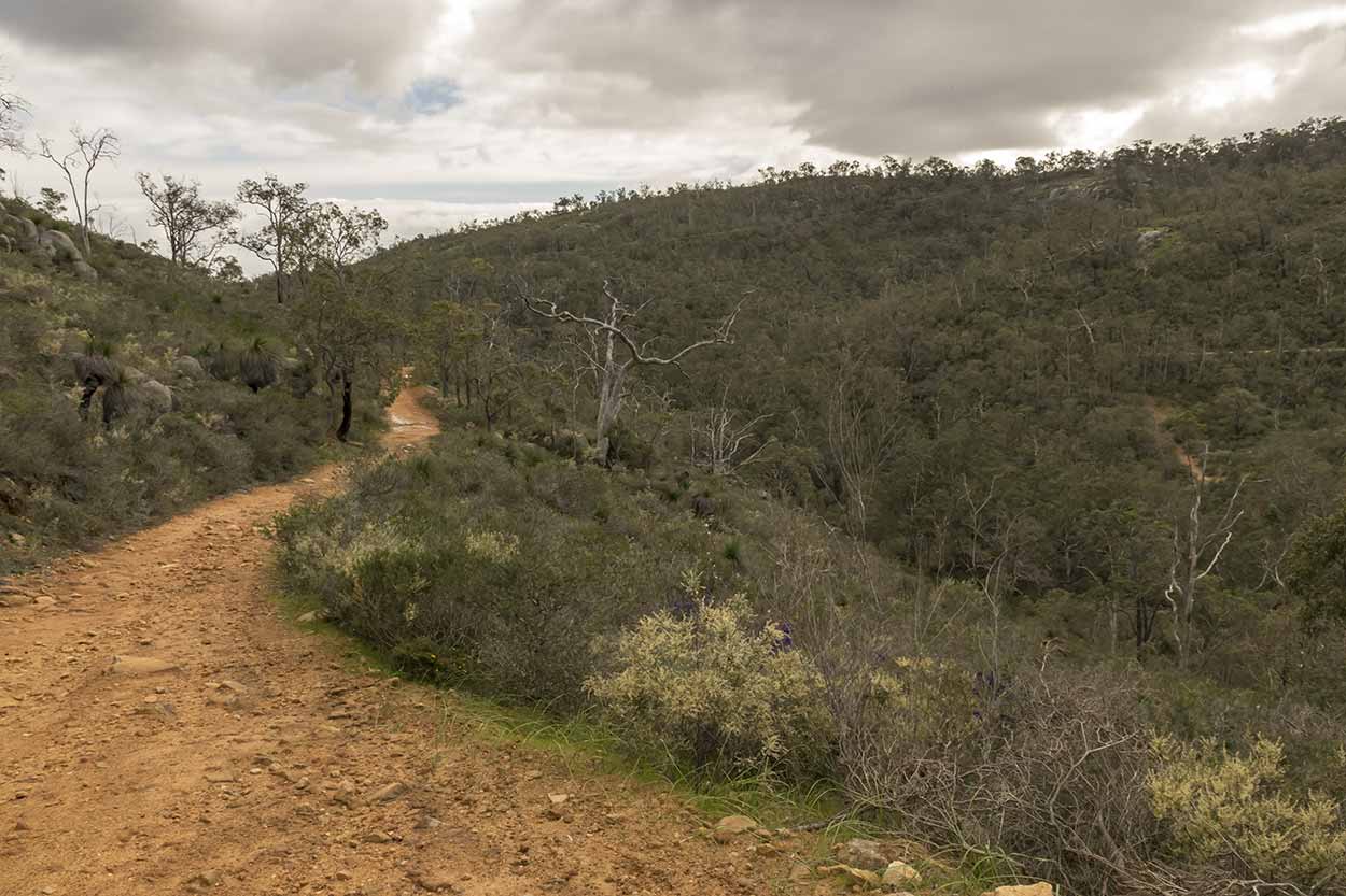 Valley views from the Helena Pipehead Walk, Beelu National Park, Perth, Western Australia