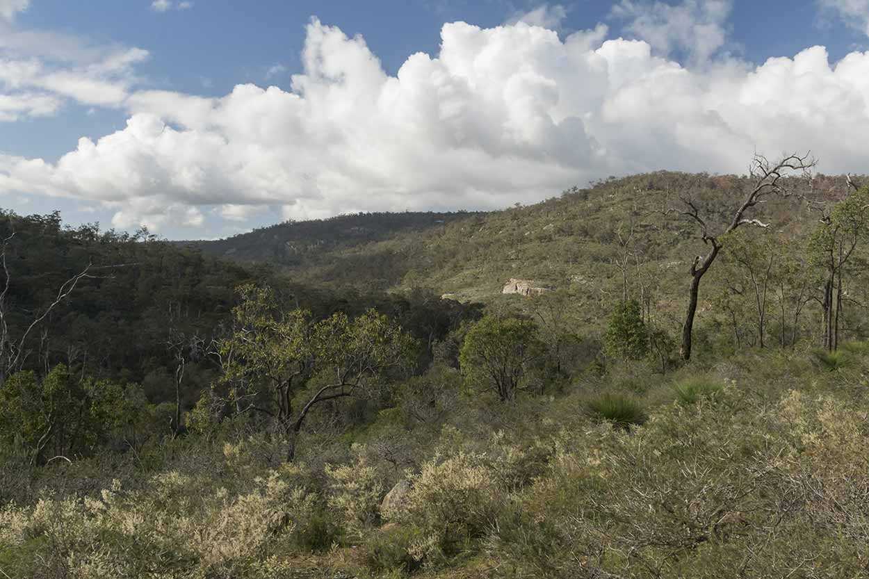 Helena Pipehead Walk, Beelu National Park, Perth, Western Australia