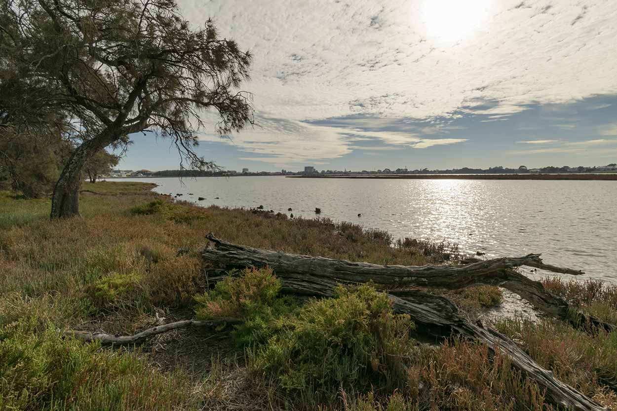 A walk around Samphire Cove Nature Reserve A photograph from Halls Head, Perth, Australia