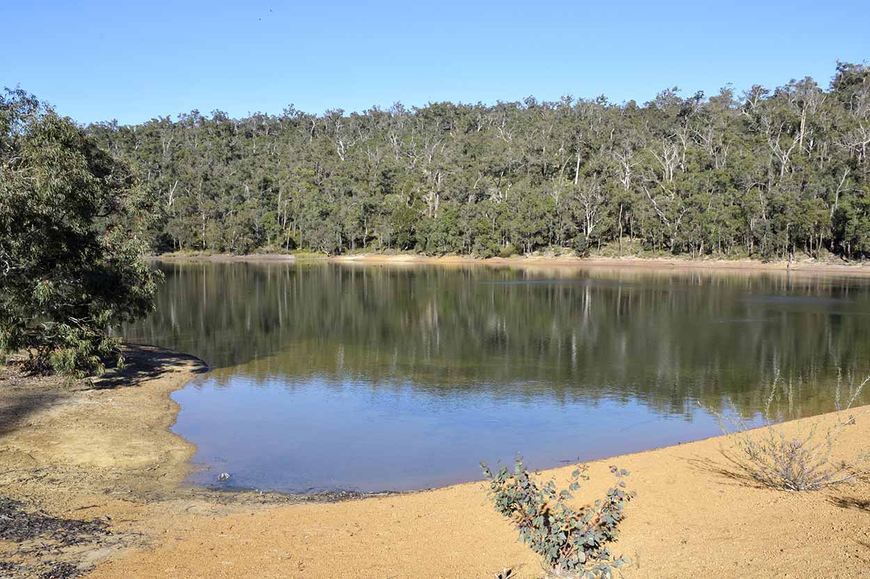 Glen Brook Dam, Eagle View Walk Trail, John Forrest National Park, Perth, Western Australia