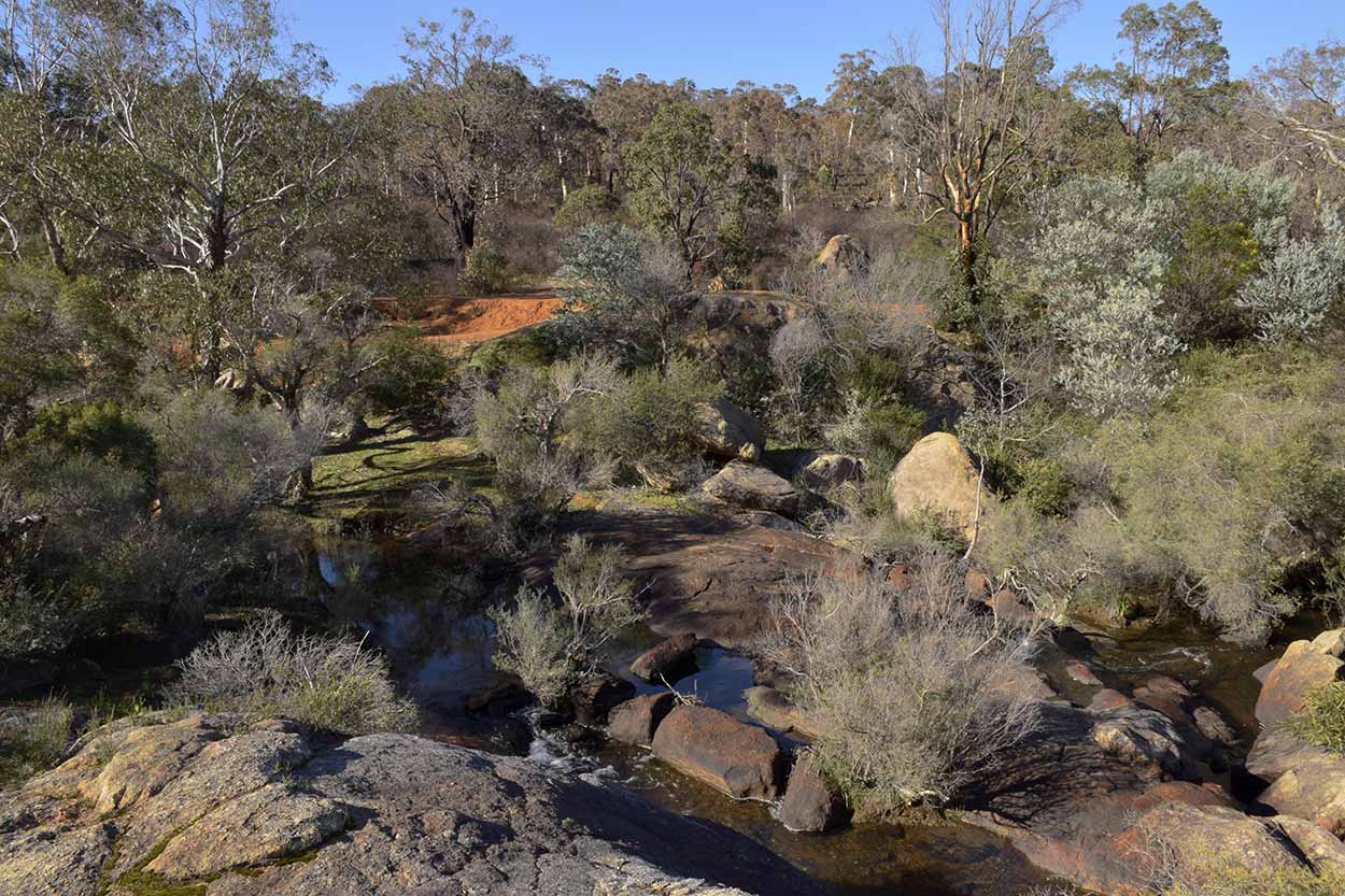 The babbling Jane Brook, Eagle View Walk Trail, John Forrest National Park, Perth, Western Australia