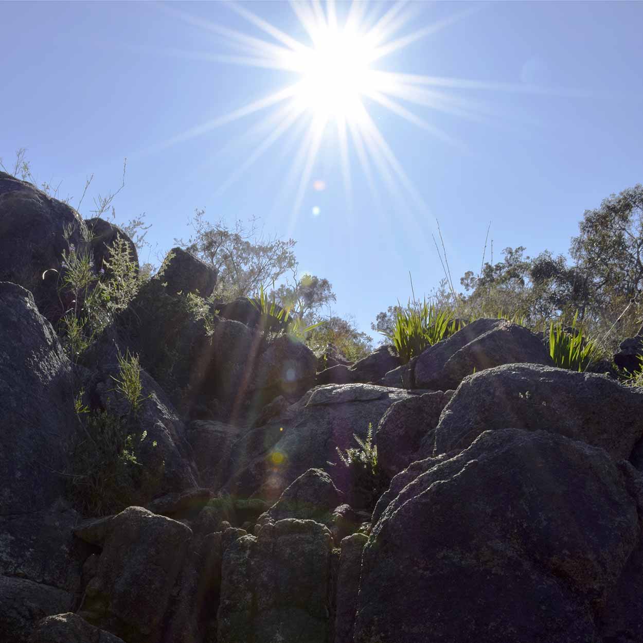 Shining sun and rocks, Eagle View Walk Trail, John Forrest National Park, Perth, Western Australia