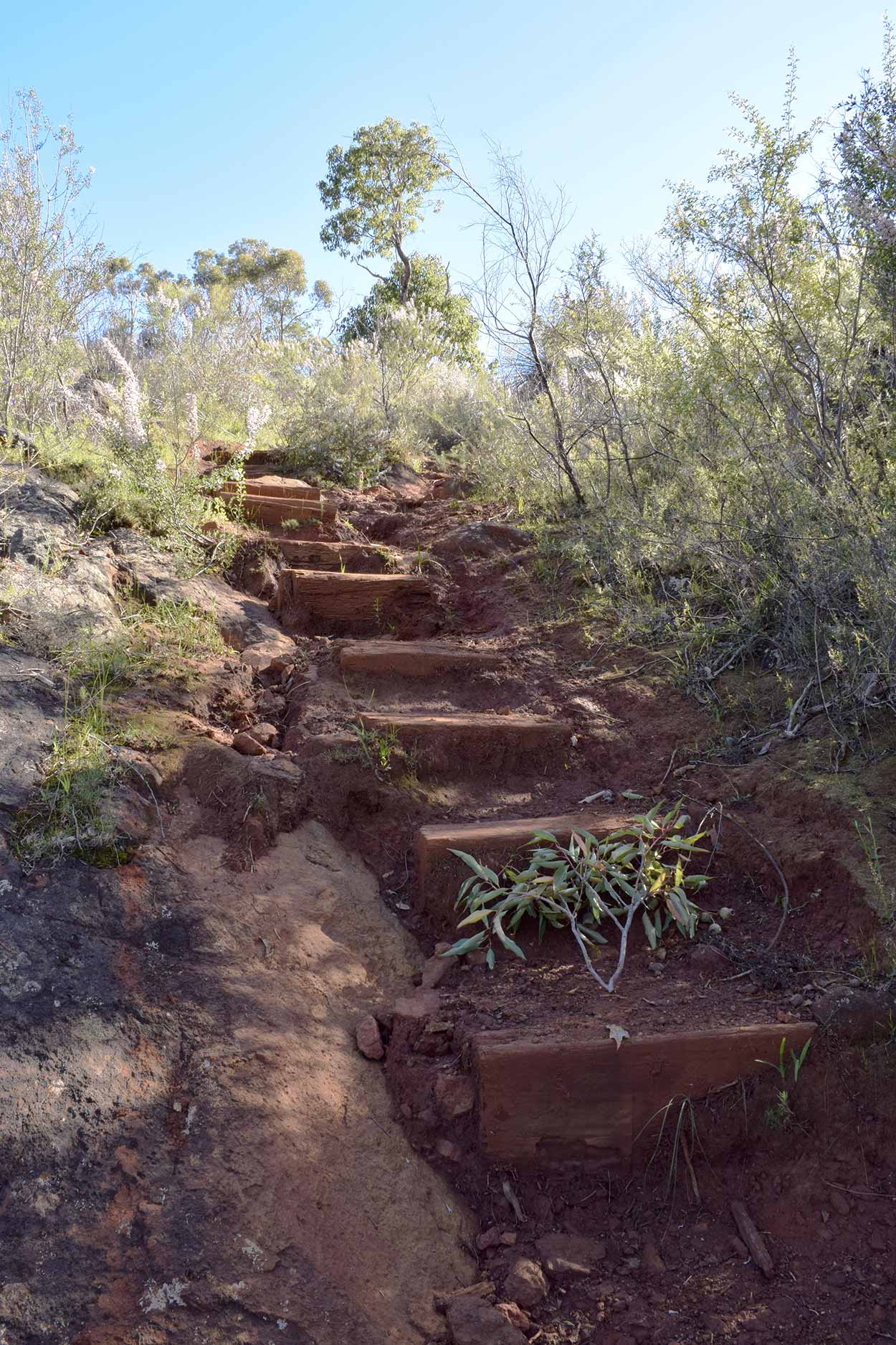 Up the staircase away from Jane Brook, Eagle View Walk Trail, John Forrest National Park, Perth, Western Australia