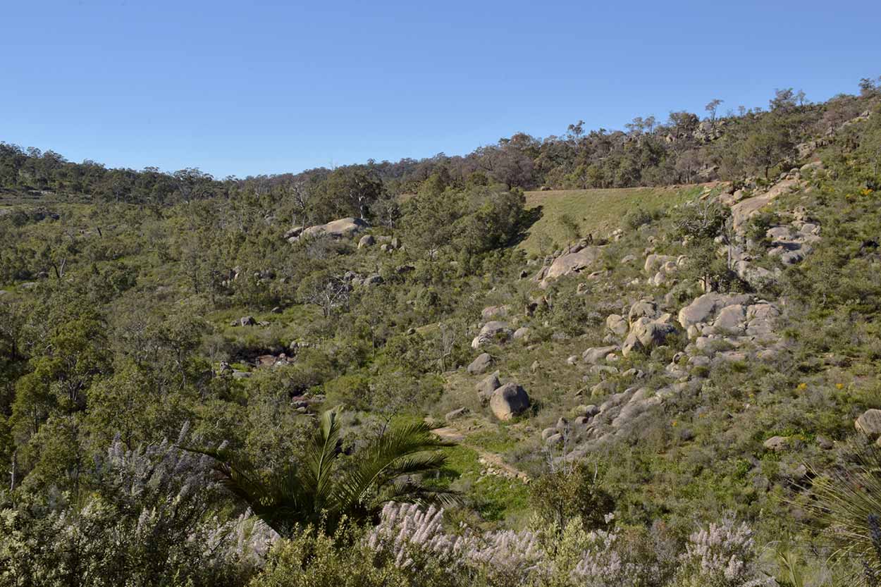 Bushland and blue sky views, Eagle View Walk Trail, John Forrest National Park, Perth, Western Australia