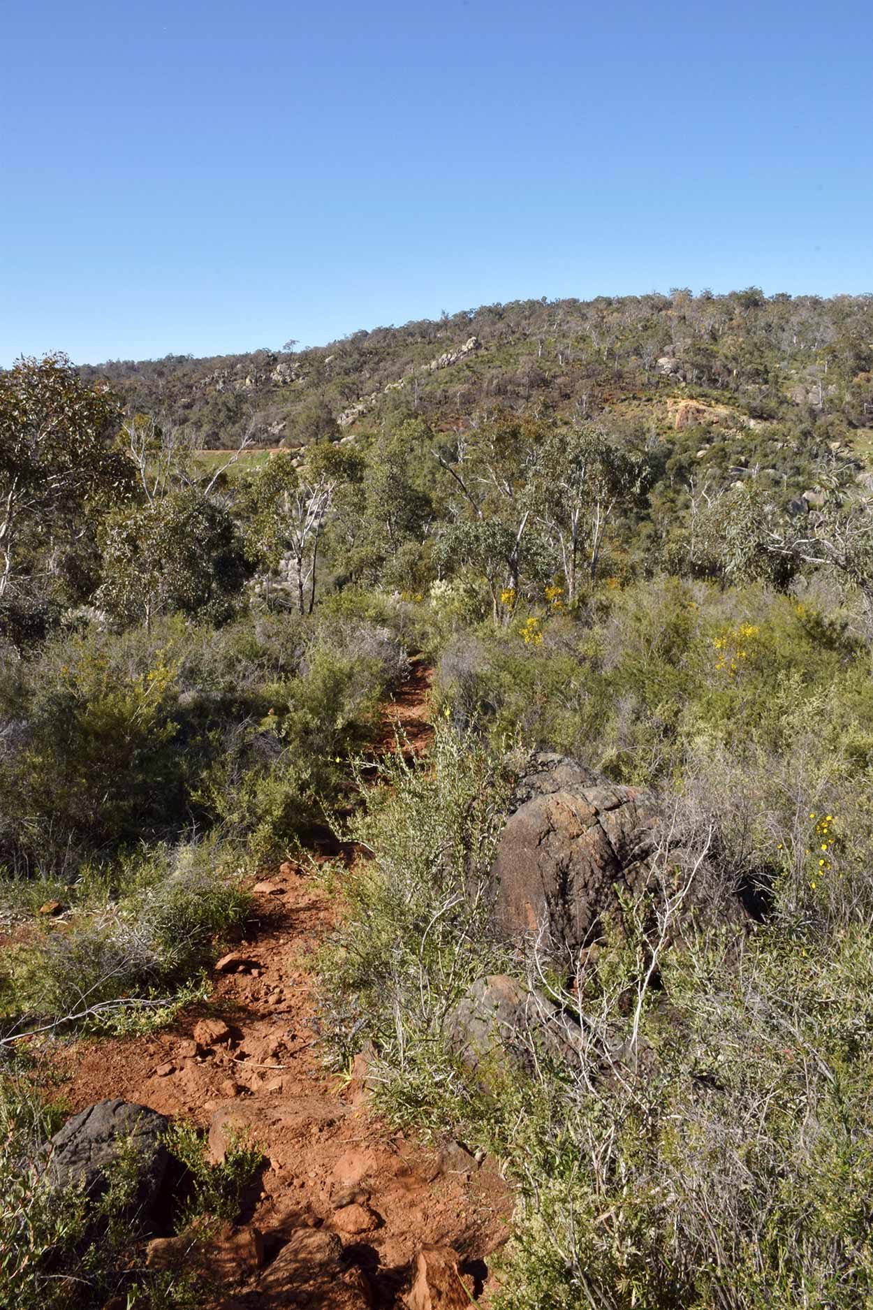 Red dirt track and bushland views, Eagle View Walk Trail, John Forrest National Park, Perth, Western Australia