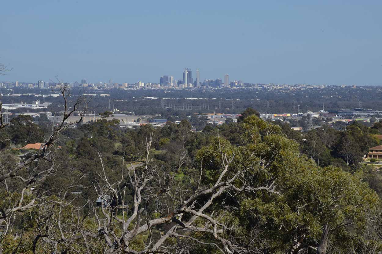 The Perth CBD from the Eagle View Lookout, Eagle View Walk Trail, John Forrest National Park, Perth, Western Australia