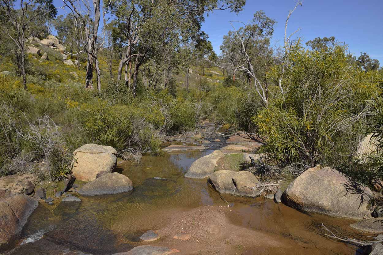 The water of Christmas Tree Creek, Eagle View Walk Trail, John Forrest National Park, Perth, Western Australia