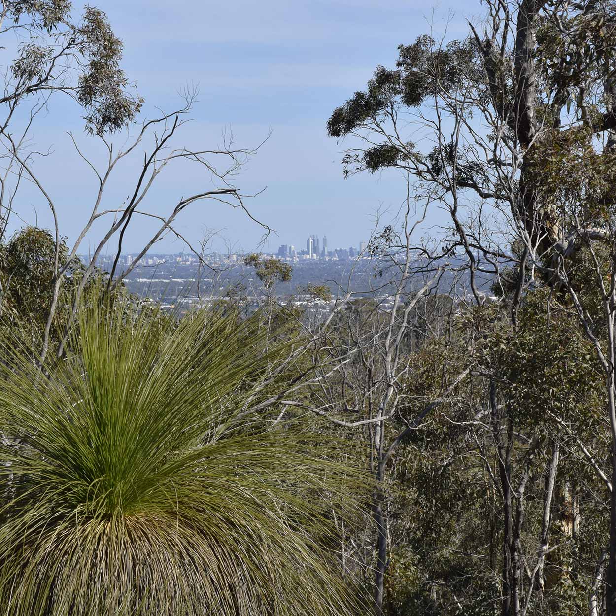 Views to the Perth CBD, Eagle View Walk Trail, John Forrest National Park, Perth, Western Australia