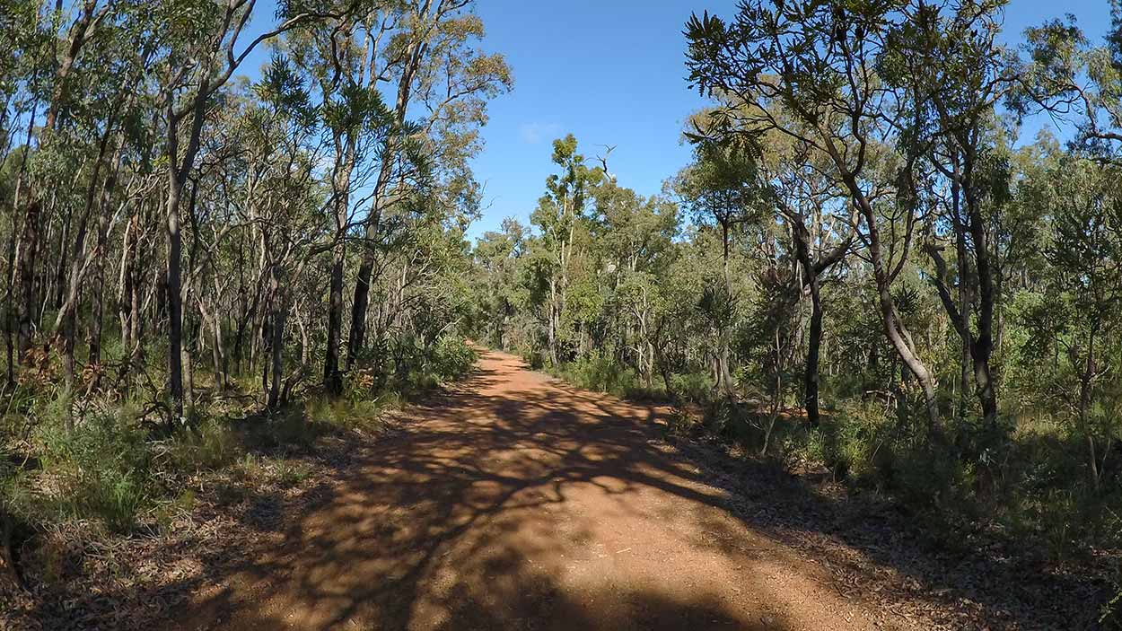 Gunjin Road section of the Kattamordo Heritage Trail, Perth, Western Australia