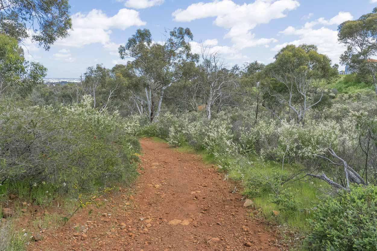 A hike along the Palm Terrace Walk, Mundy Regional Park, Perth, Western Australia