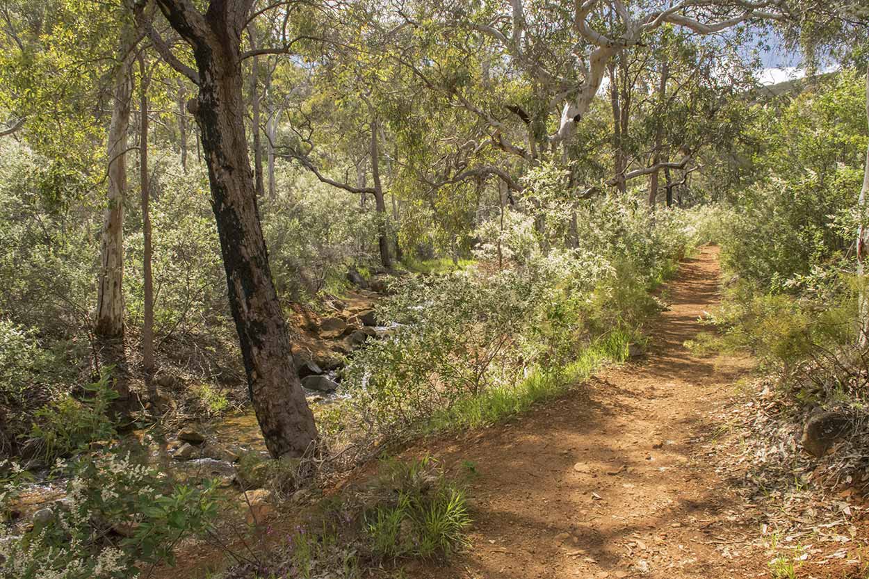 Path to Lesmuride Falls, Mundy Regional Park, Perth, Western Australia