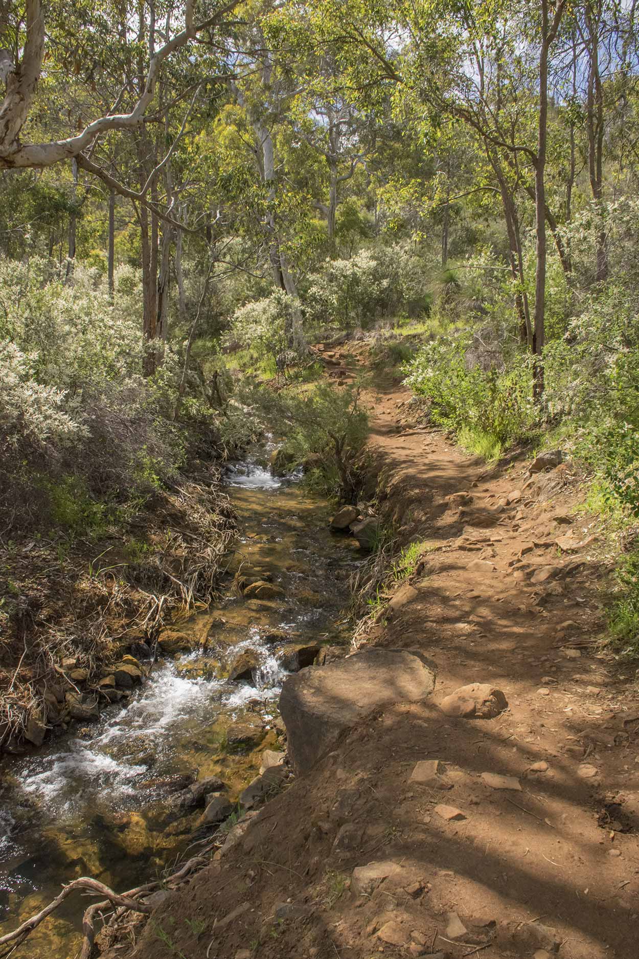 Path to Lesmuride Falls, Mundy Regional Park, Perth, Western Australia
