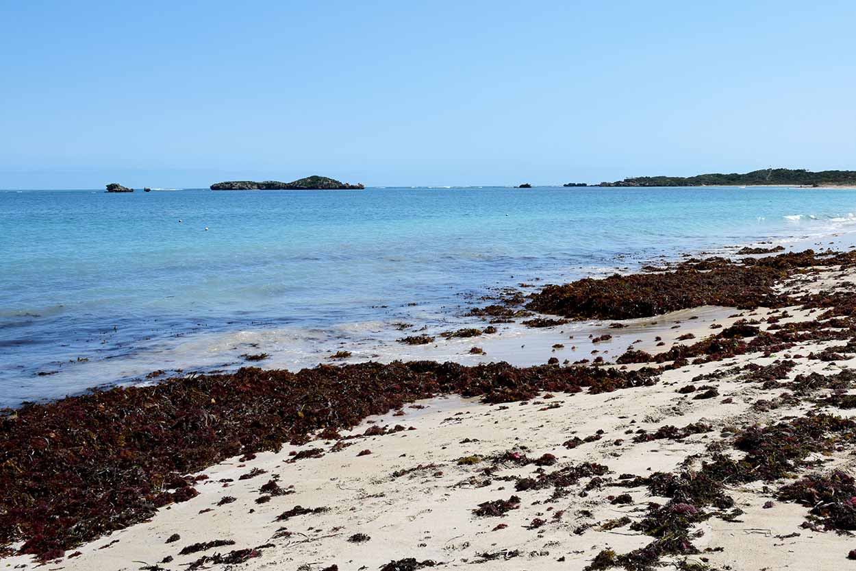 The calm blue waters of Shoalwater Bay Beach, Point Peron, Rockingham, Perth, Western Australia