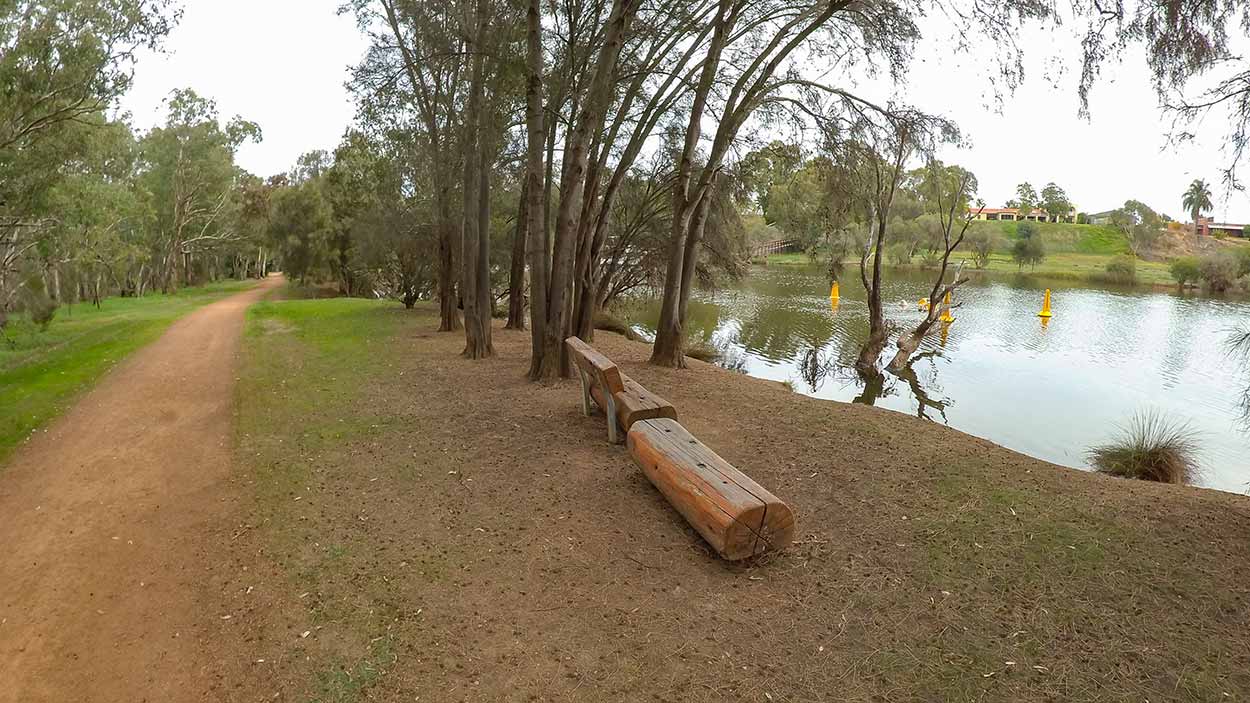 A Walk Among the Vineyards of the Swan Valley, Perth, Australia