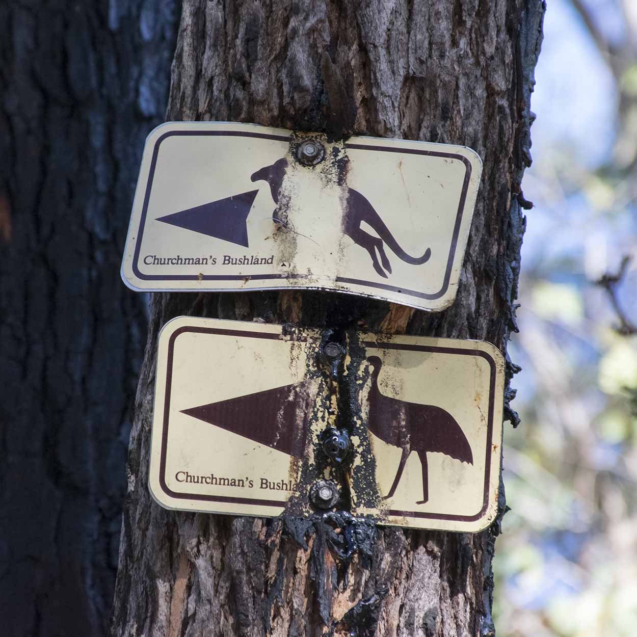 Signage for the Churchman's Bushland Kangaroo and Emu Trails, Wungong Regional Park, Perth, Western Australia