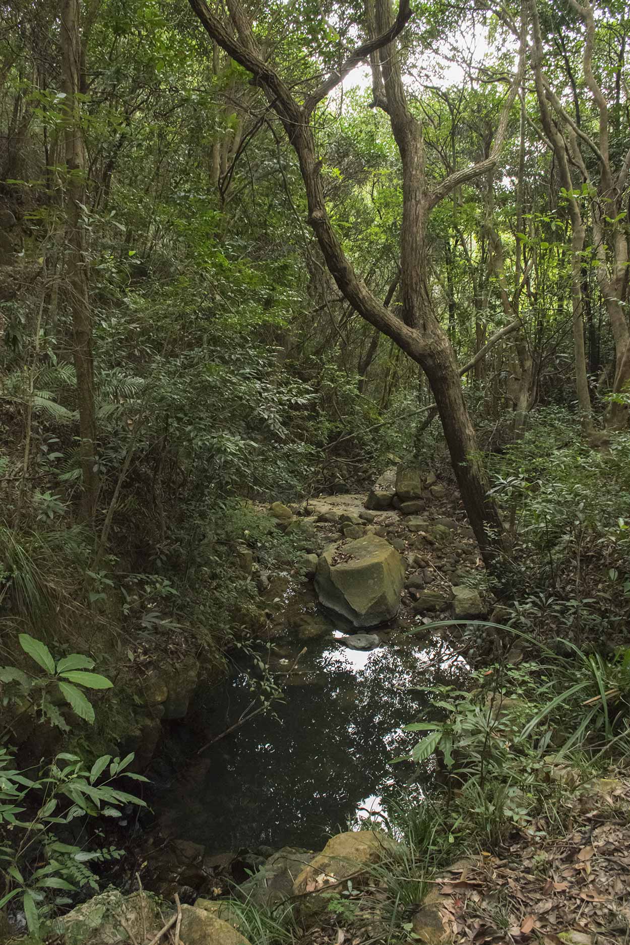 Stream, Hong Kong Trail Section 3, China