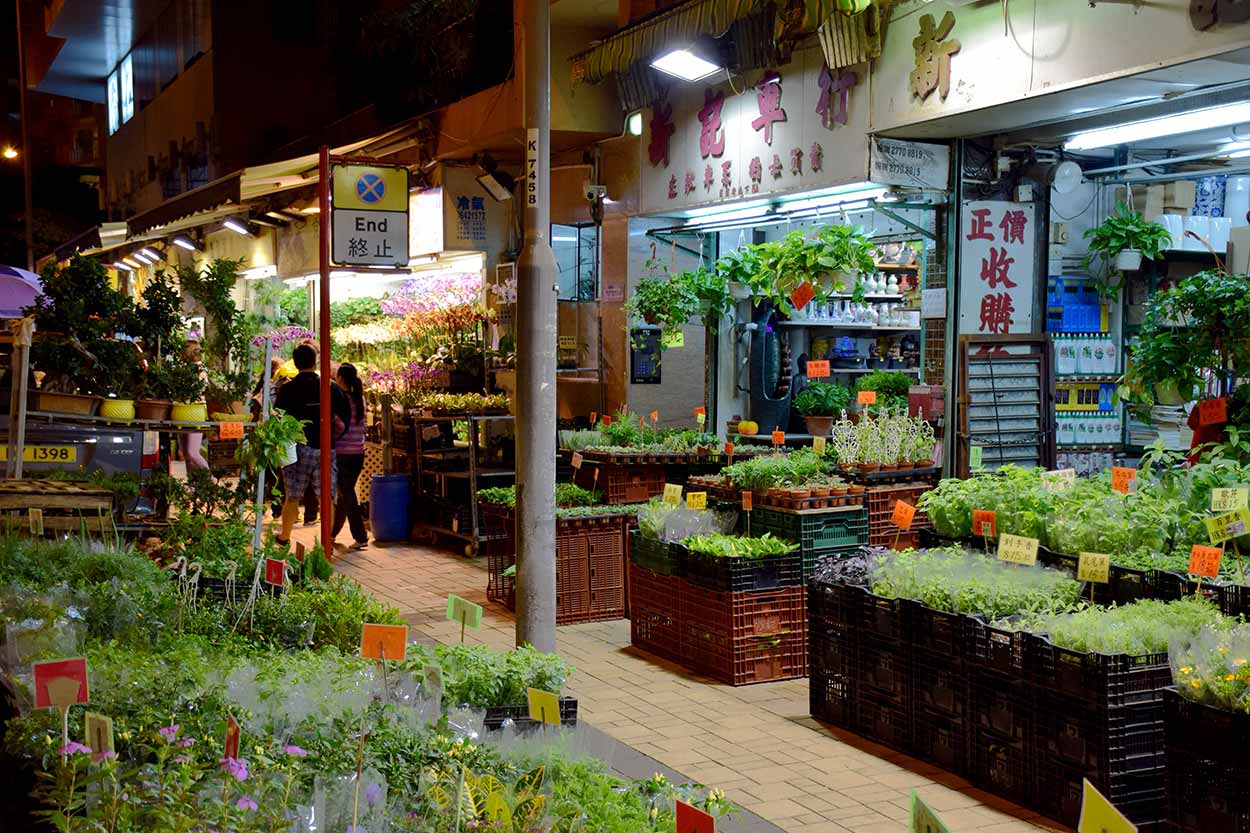 Flower Market, Mong Kok, Hong Kong, China