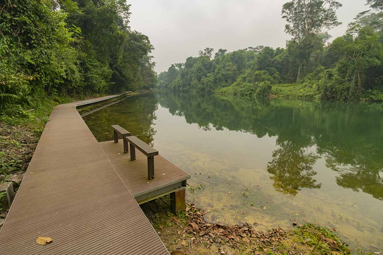 The clear waters of MacRitchie Reservoir from the Jering Trail A